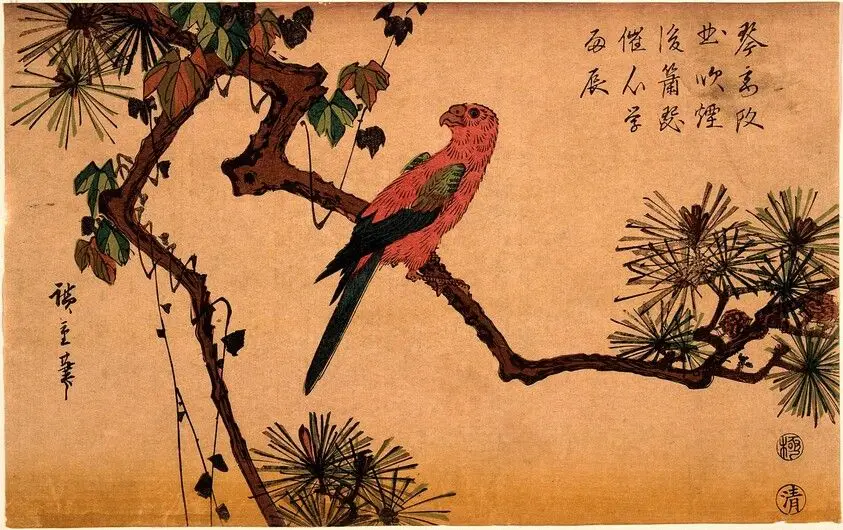 Macaw on a Pine Branch by Hiroshige, Andō
