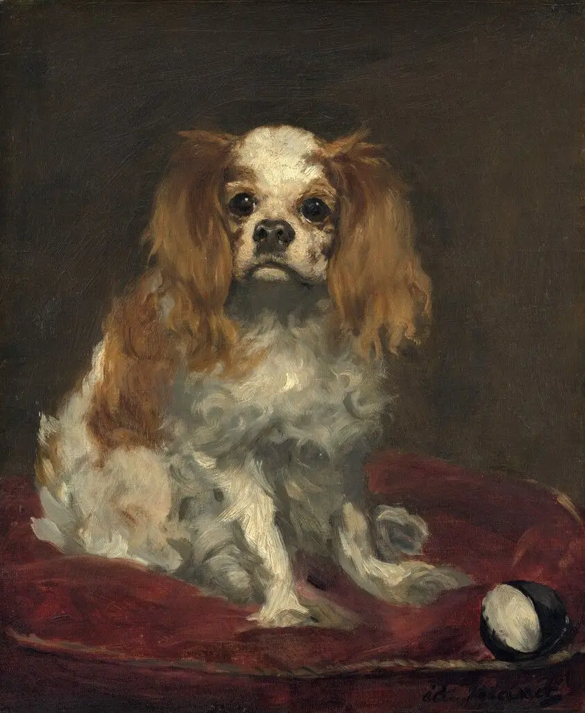 A King Charles Spaniel by Manet, Edouard
