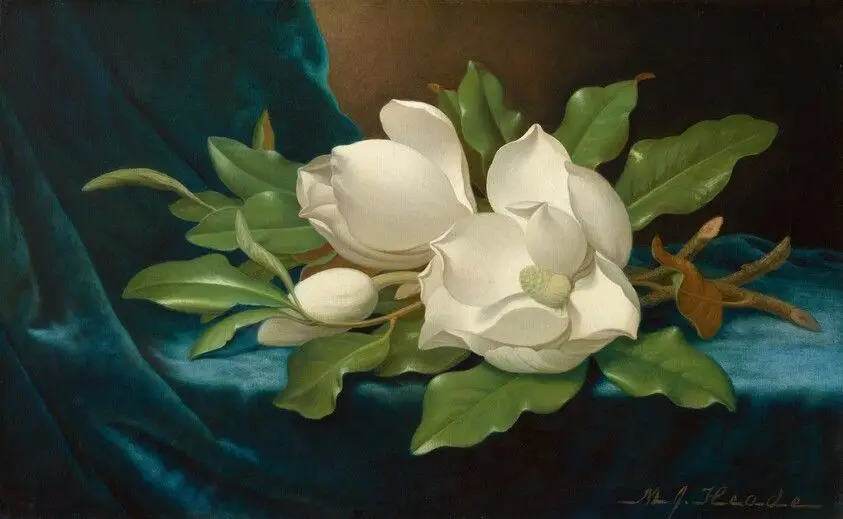 Giant Magnolias on a Blue Velvet Cloth by Heade, Martin Johnson