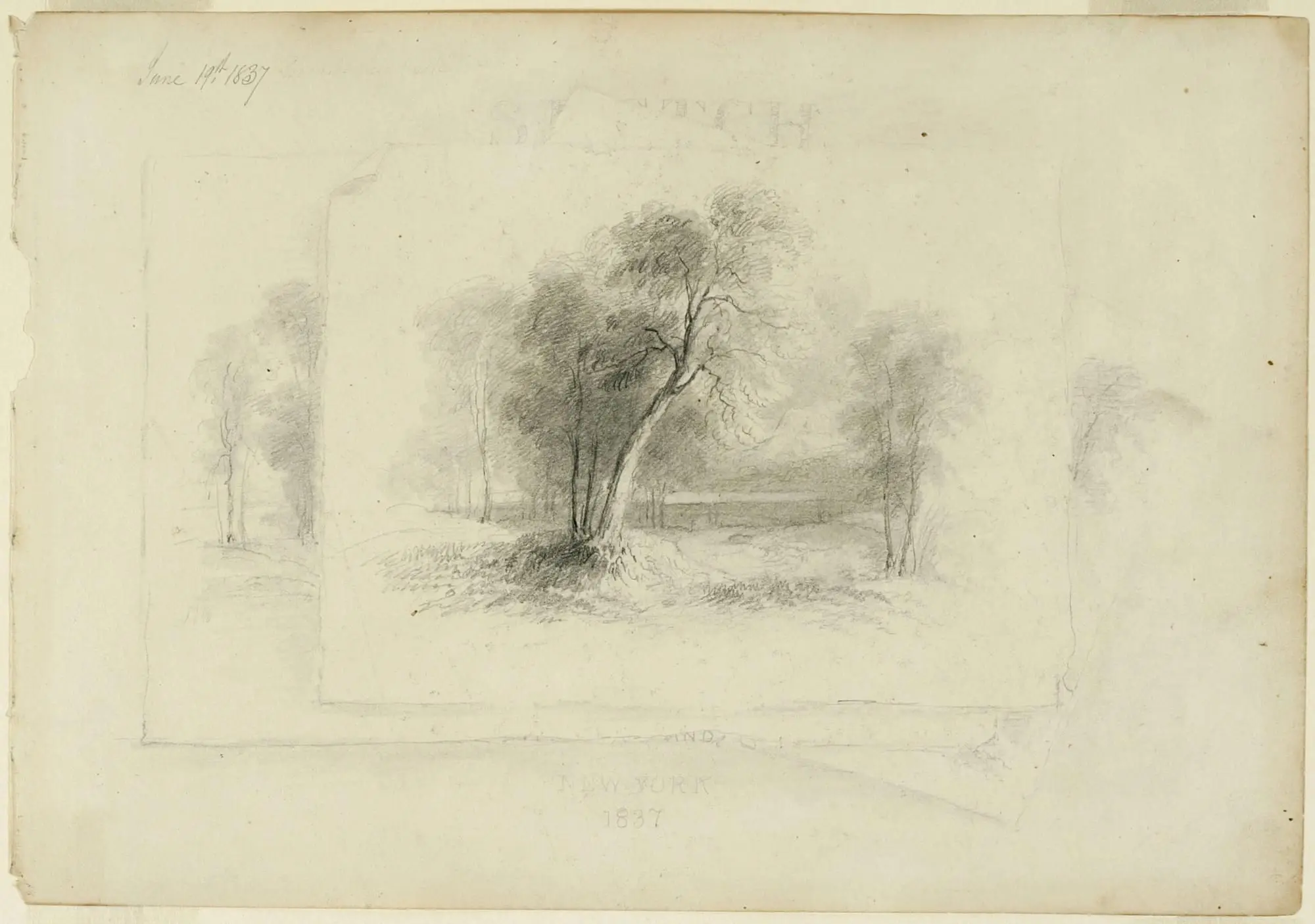 Frontispiece with Trompe l'Oeil Stack of Three Drawings of Trees; from the disassembled "Schroon Lake Sketchbook" by Asher B. Durand