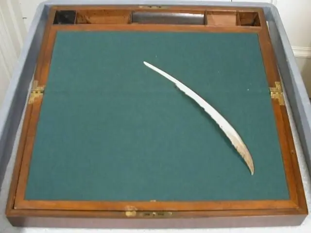 Quill pen made from a Bald Eagle feather, used by John James Audubon by John James Audubon
