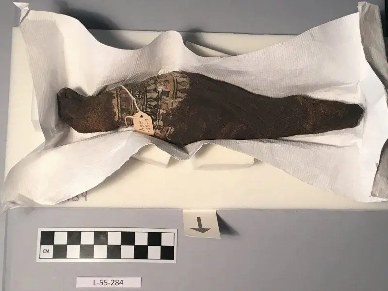 Mummy, Falcon by Unknown artist