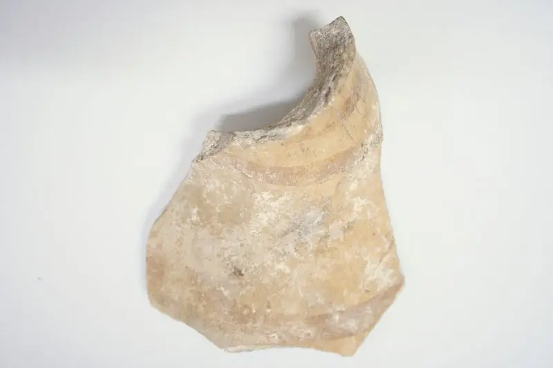 Sherd by Unknown artist