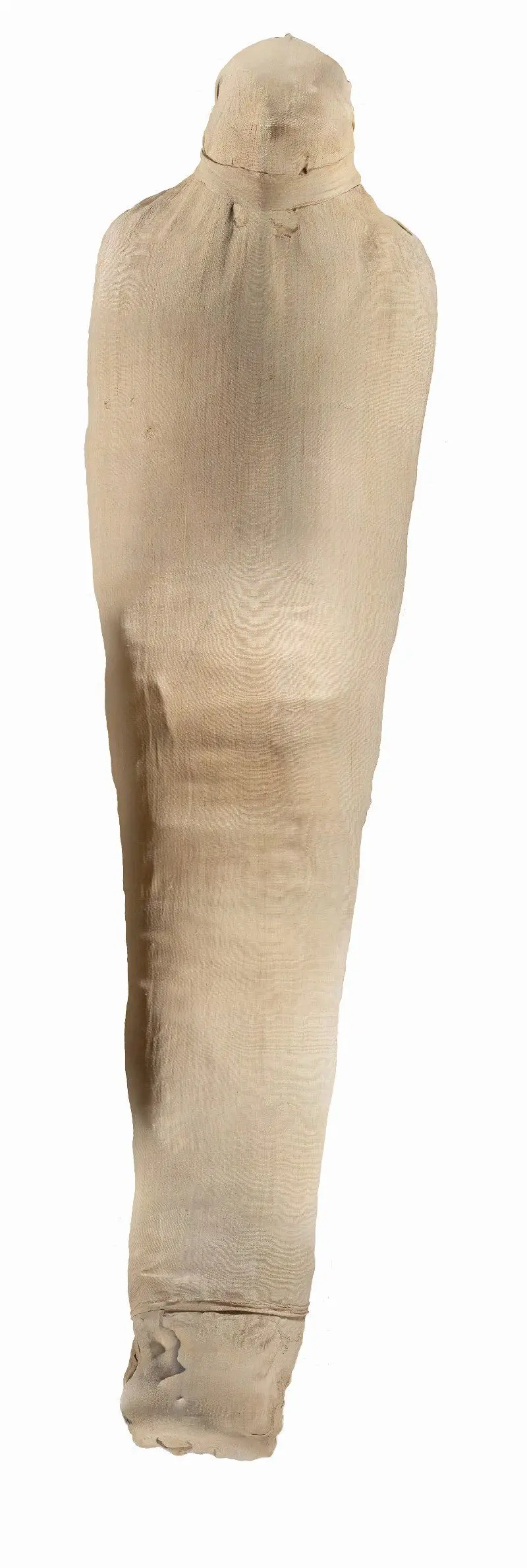 Mummy Human Remains by Unknown artist