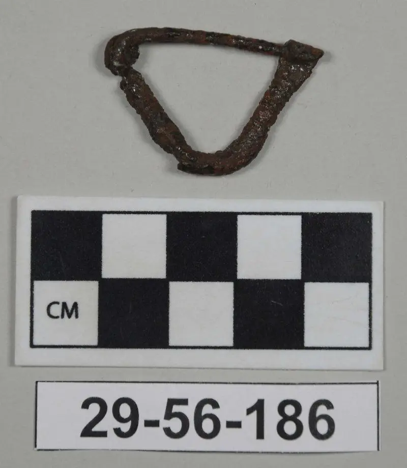 Fibula (Pin) by Unknown artist