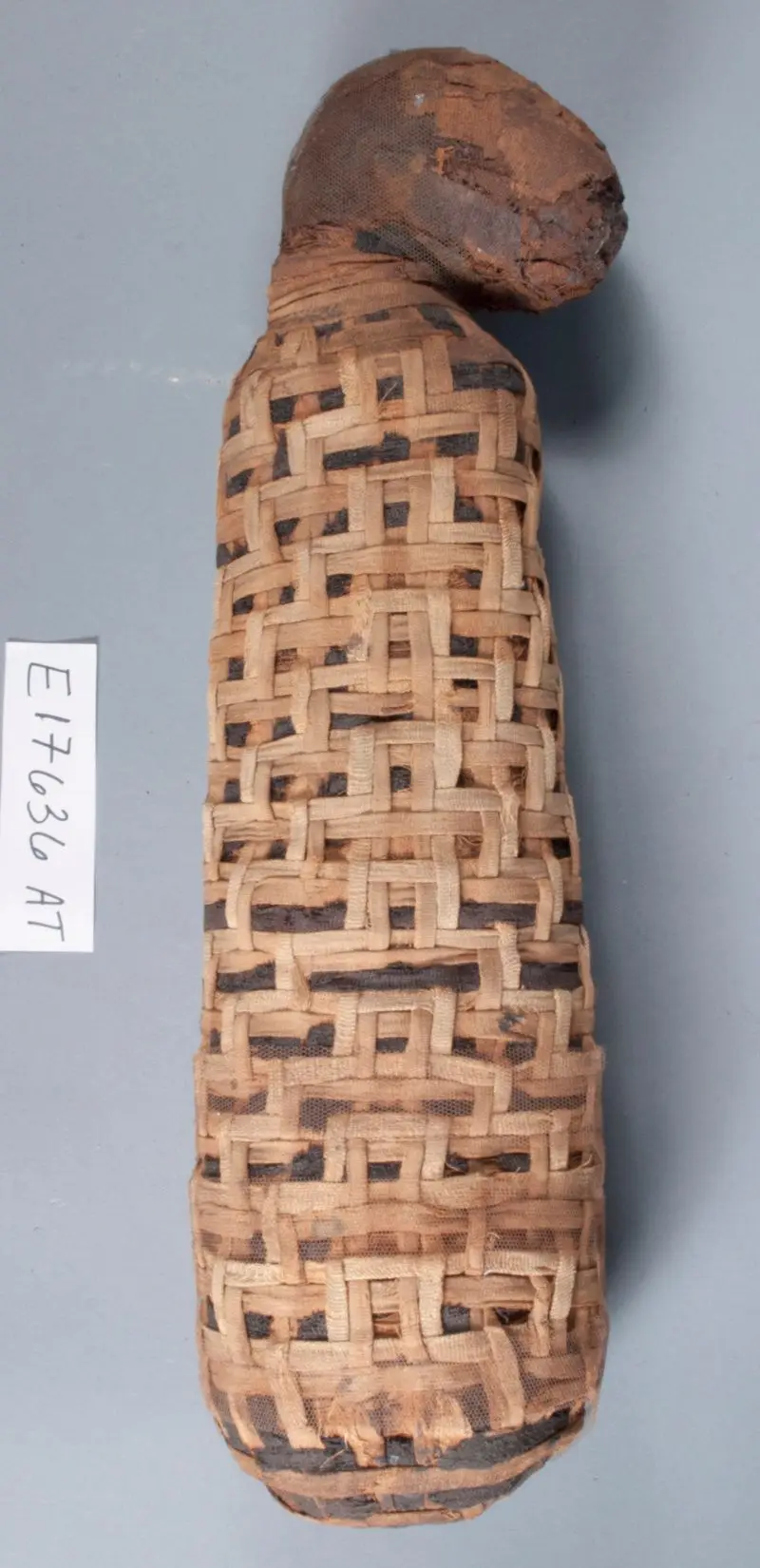 Mummy, Cat by Unknown artist