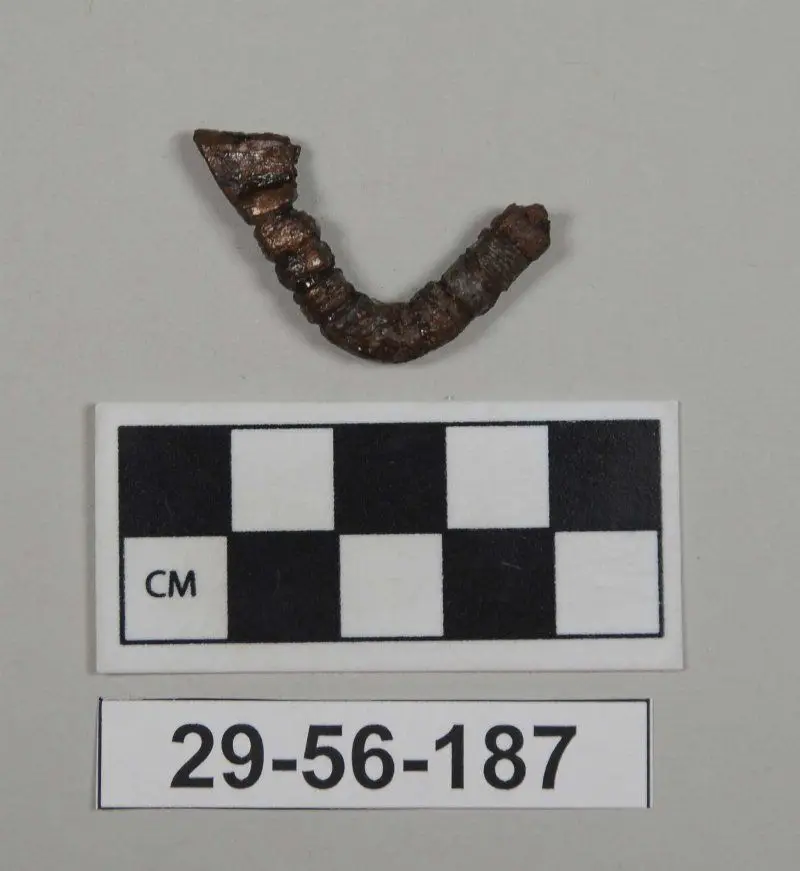 Fibula (Pin) by Unknown artist