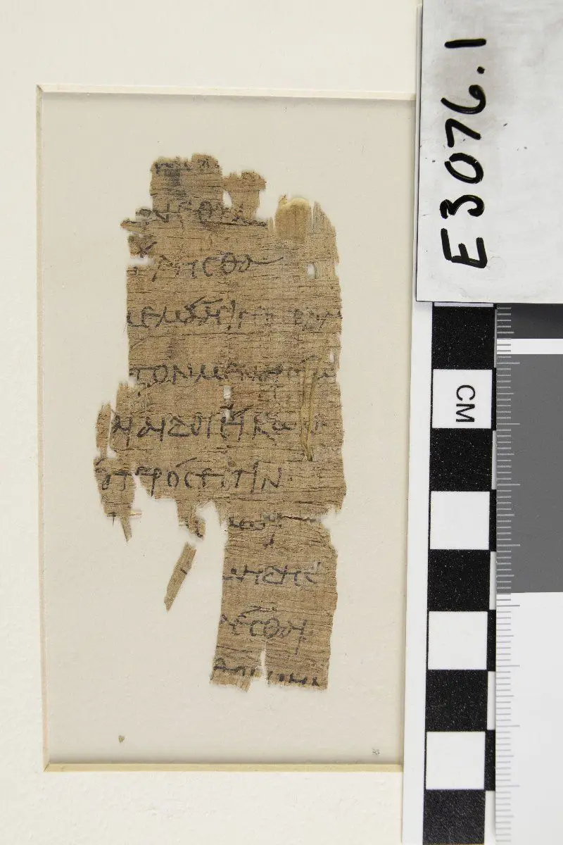 Homer, Iliad, Manuscript by Homer
