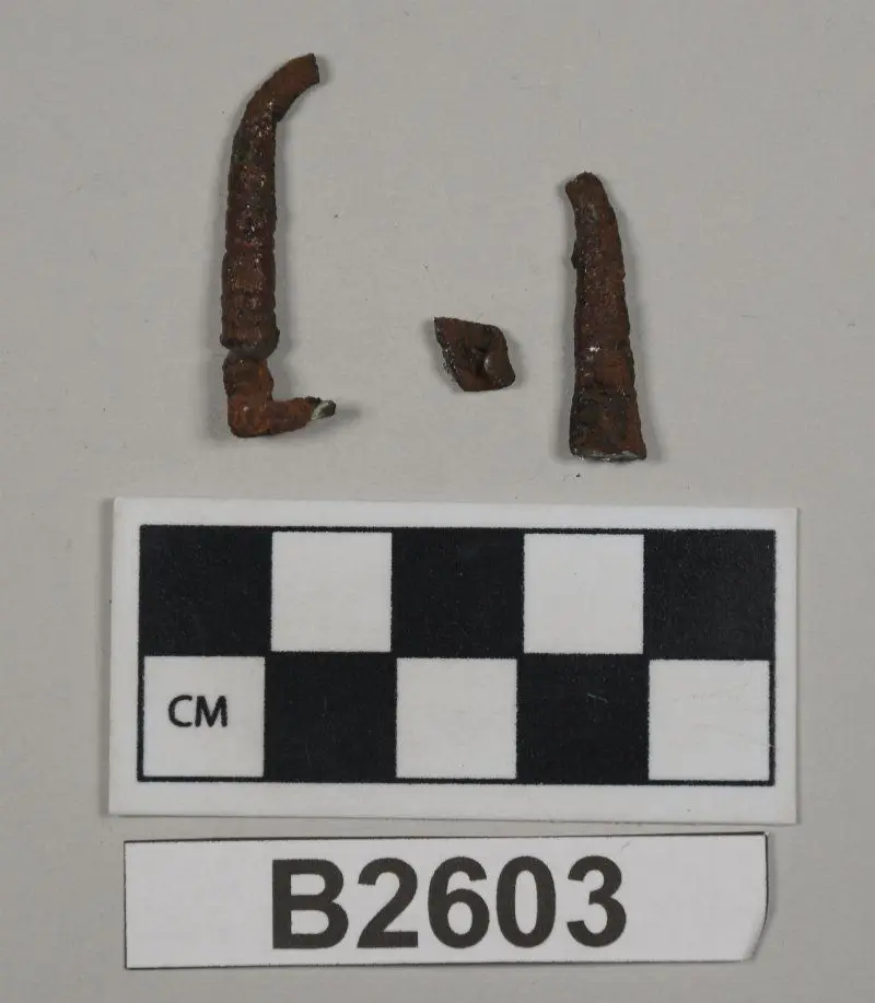 Fibula (Pin) by Unknown artist