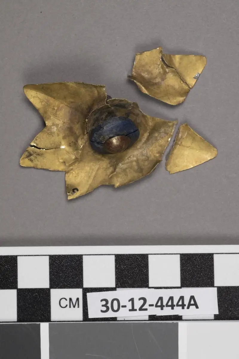 Flower by Unknown artist