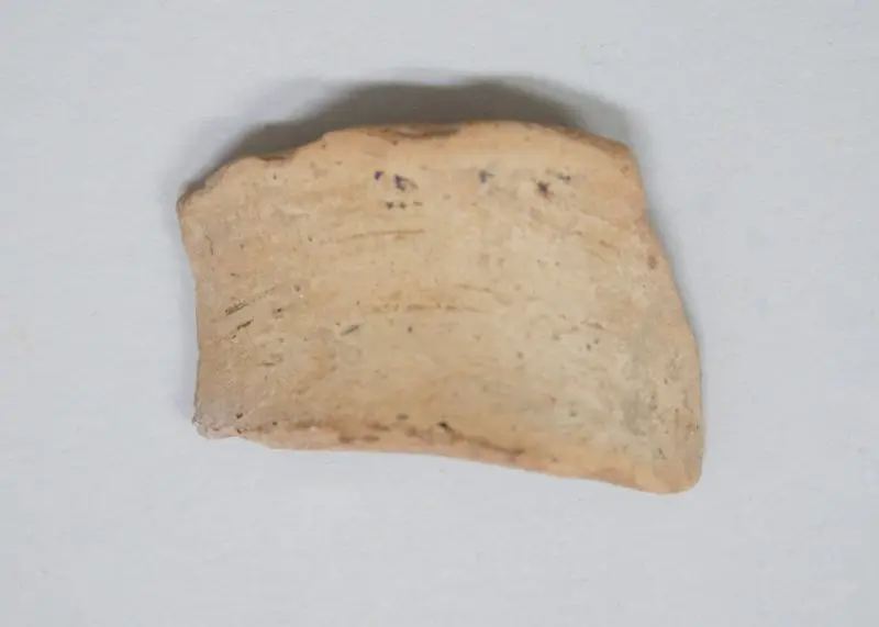 Sherd by Unknown artist