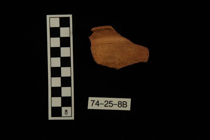 Rim Sherd by Unknown artist