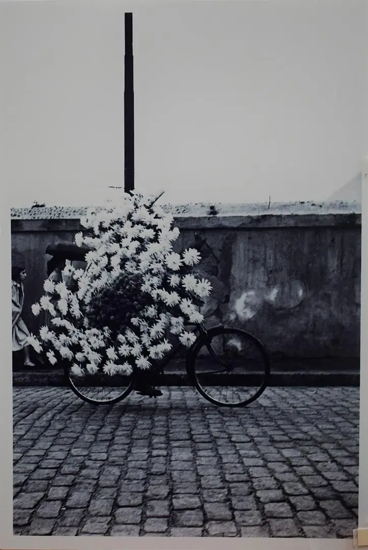 Rio de Janeiro by Flávio Damm