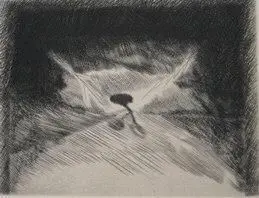 Sem título, da série “Caos aparente” by Marcio Périgo