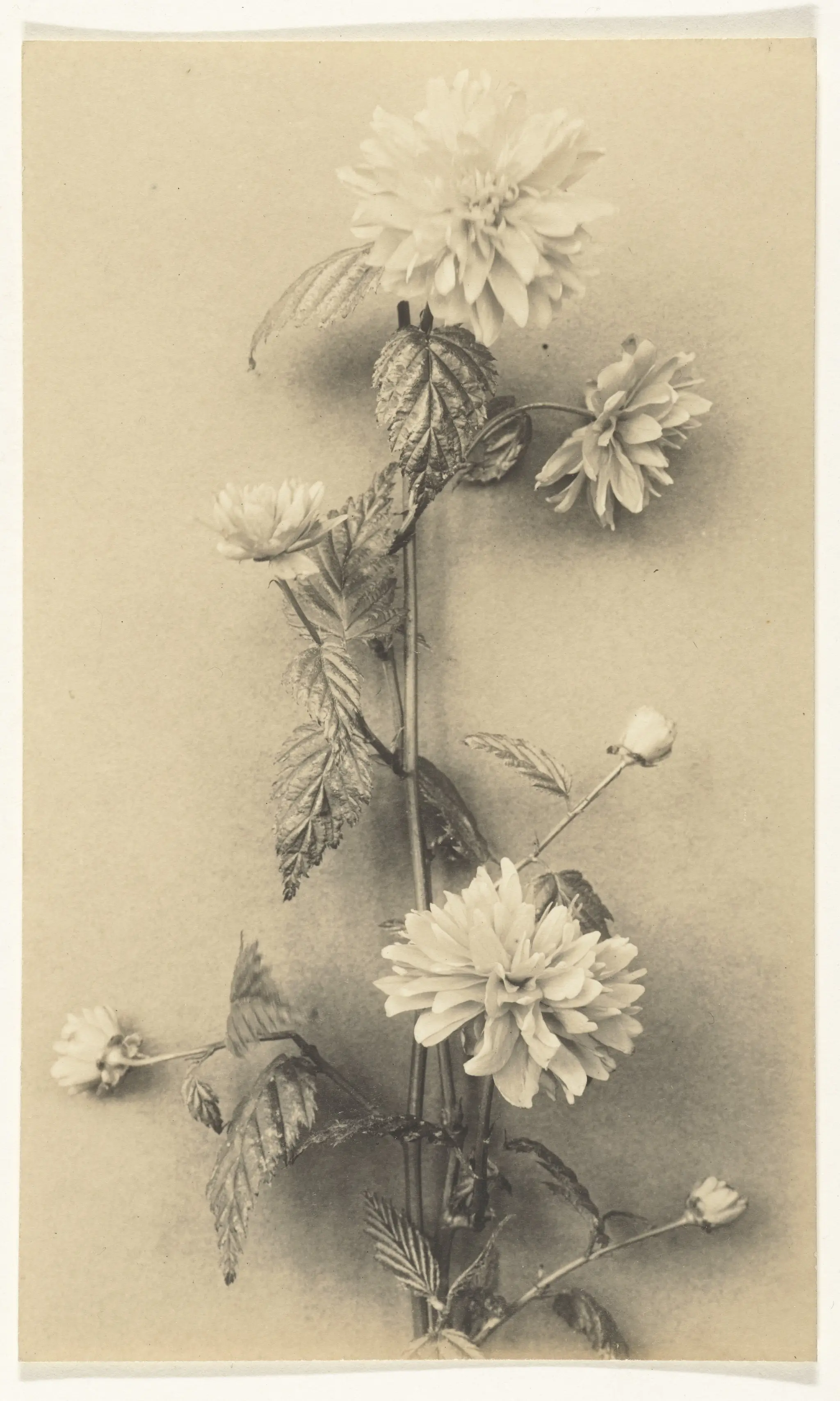 Tak met bloemen by Unknown artist