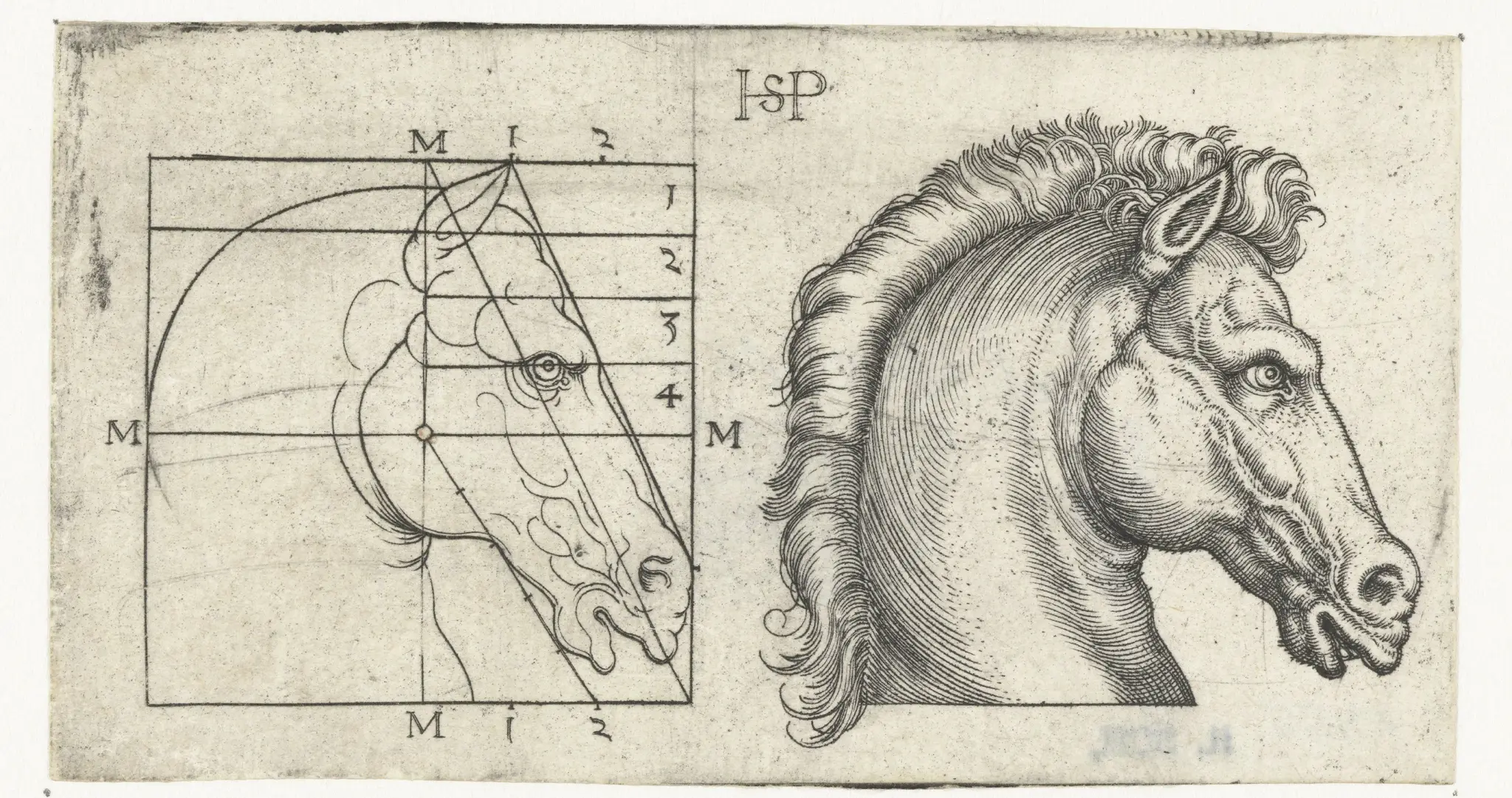 Paardenhoofd en tekening in schema volgens proportieleer by Unknown artist