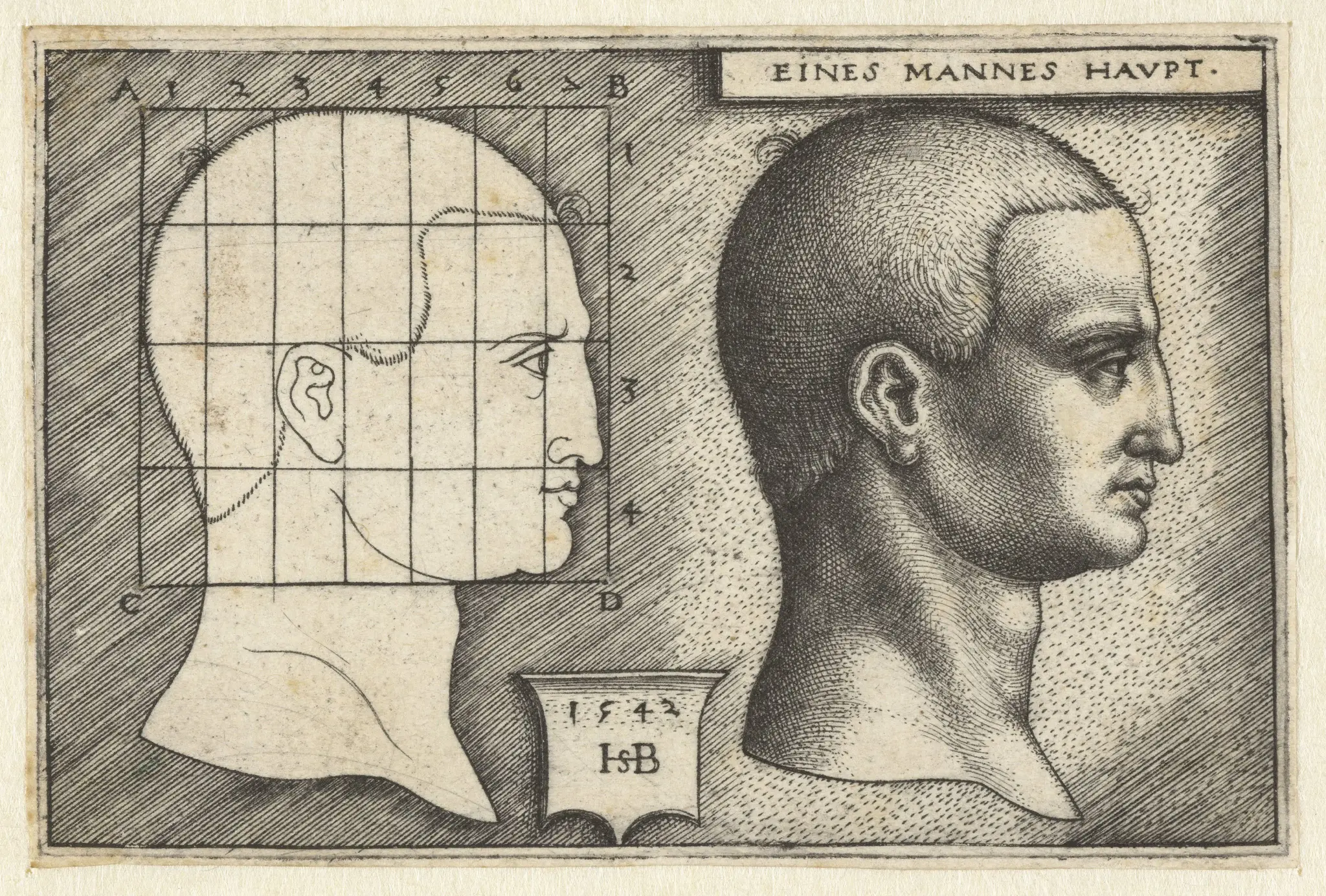 Mannenhoofd en tekening in schema volgens proportieleer by Unknown artist