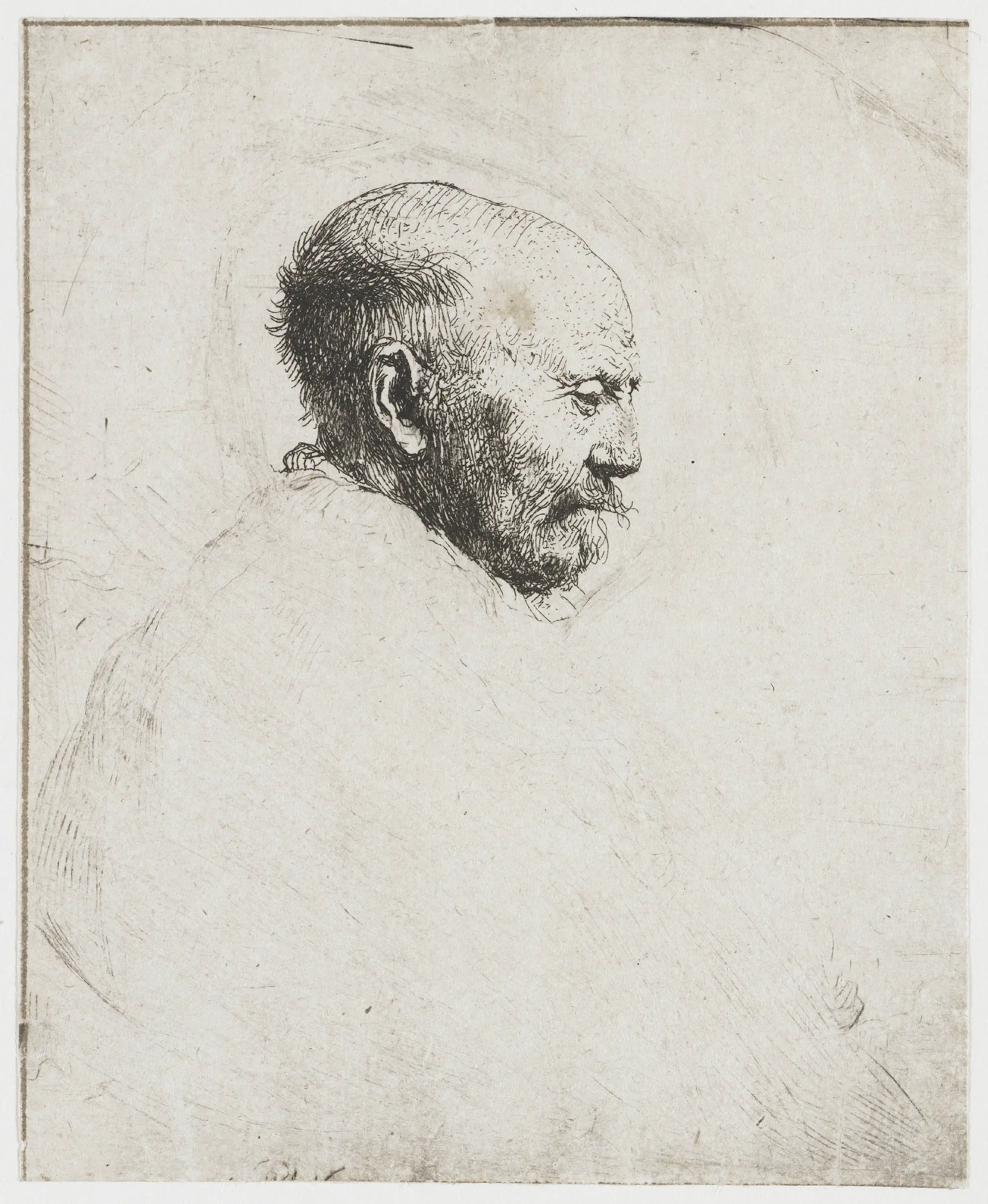 Bald headed man in profile right: the artist's father (?) by Rembrandt van Rijn
