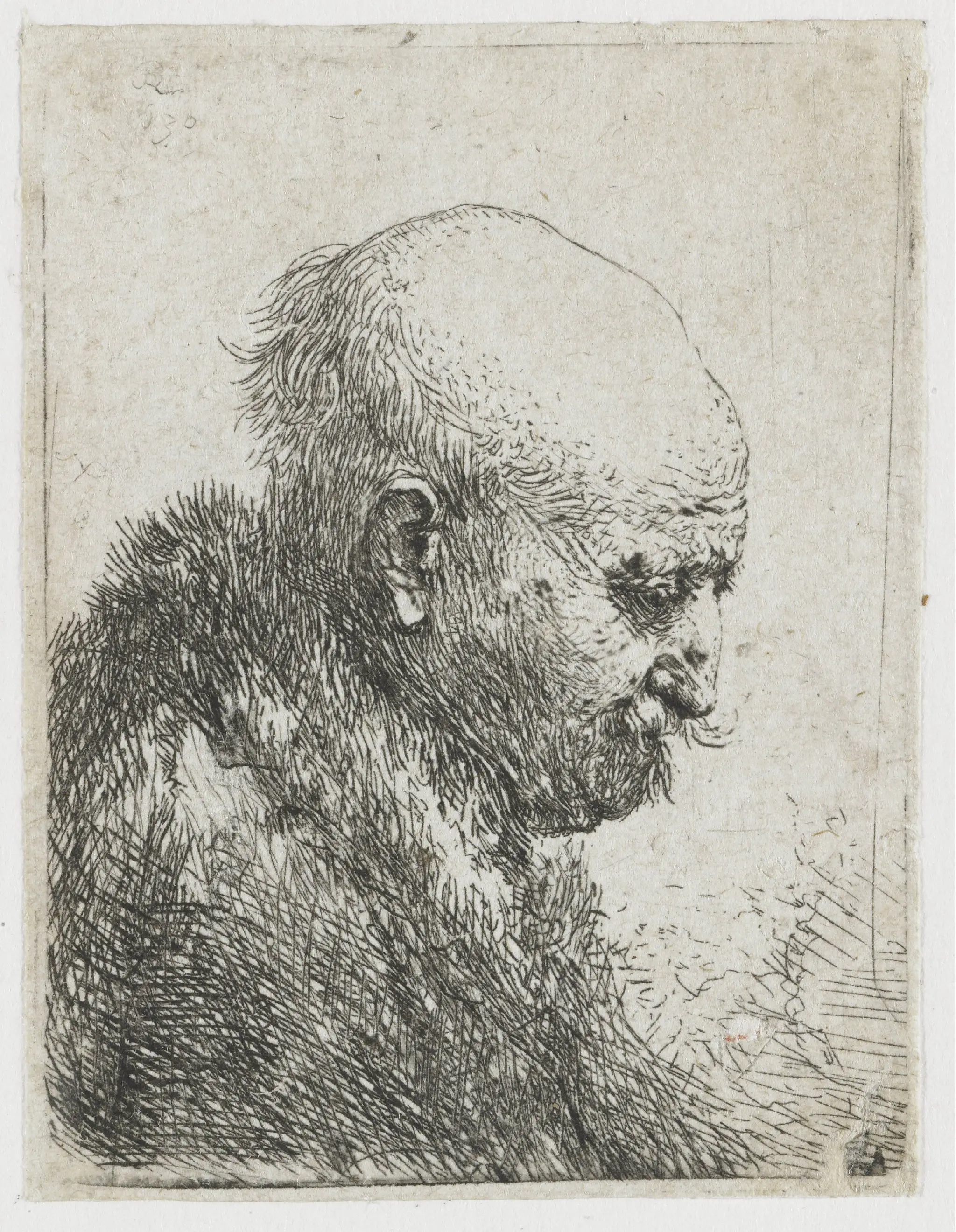Bald headed man in profile right: small bust, the artist's father (?) by Unknown artist