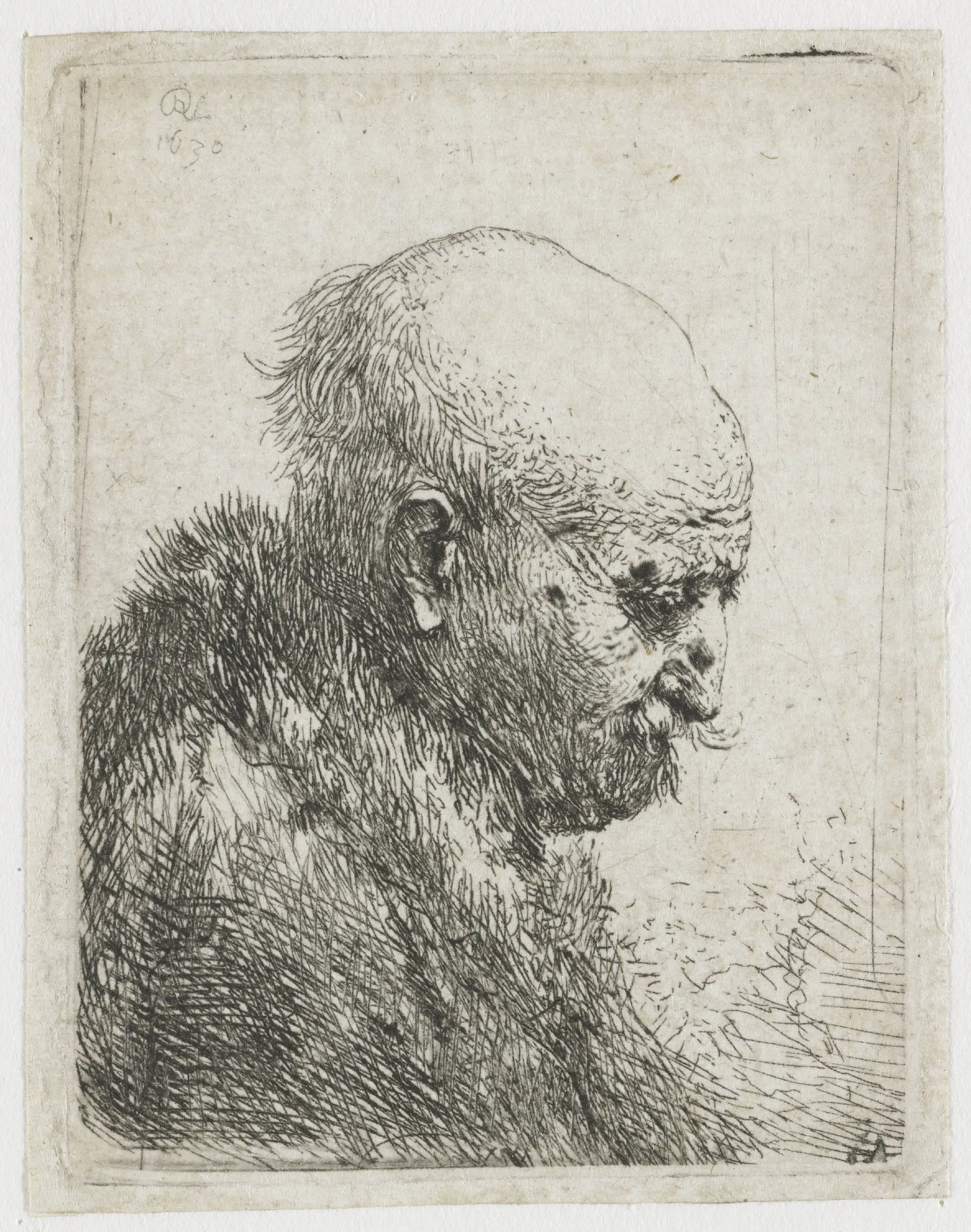 Bald headed man in profile right: small bust, the artist's father (?) by Unknown artist