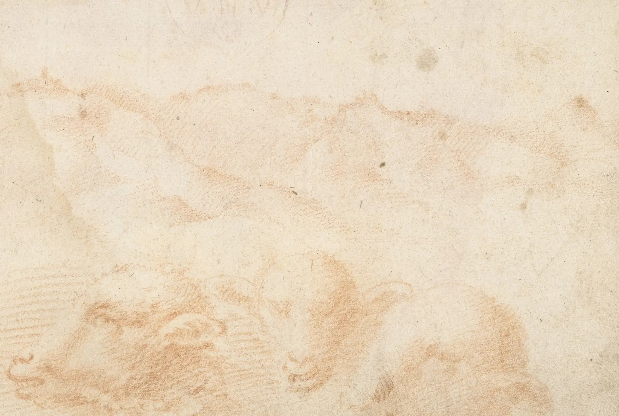 Heuvellandschap met drie schaapskoppen by Domenico Beccafumi