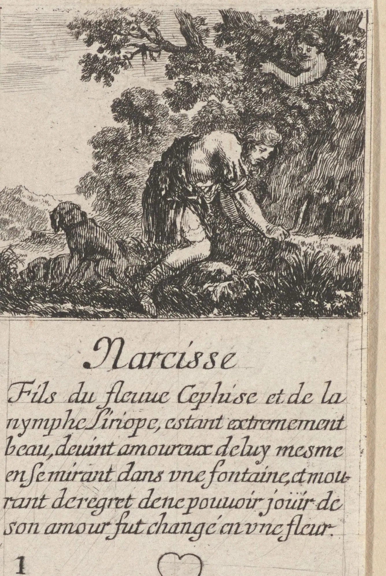 Narcissus by Stefano della Bella