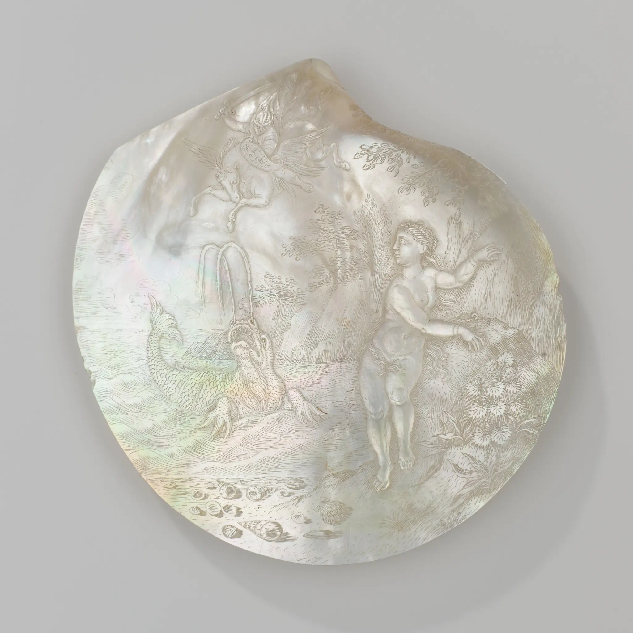 Two carved shells by Unknown artist