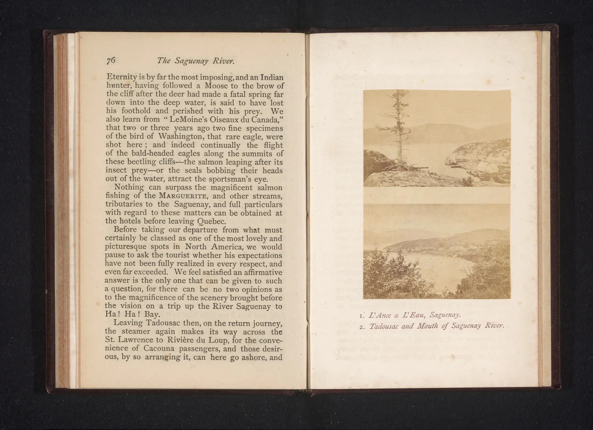 L'Ance a L'eau, Saguenay by Alexander Lamont Henderson