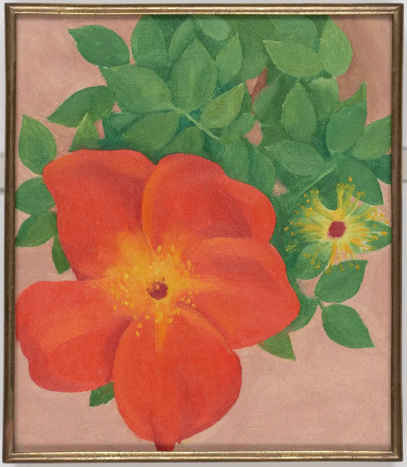 Austrian Copper Rose #1 by Georgia O'Keeffe