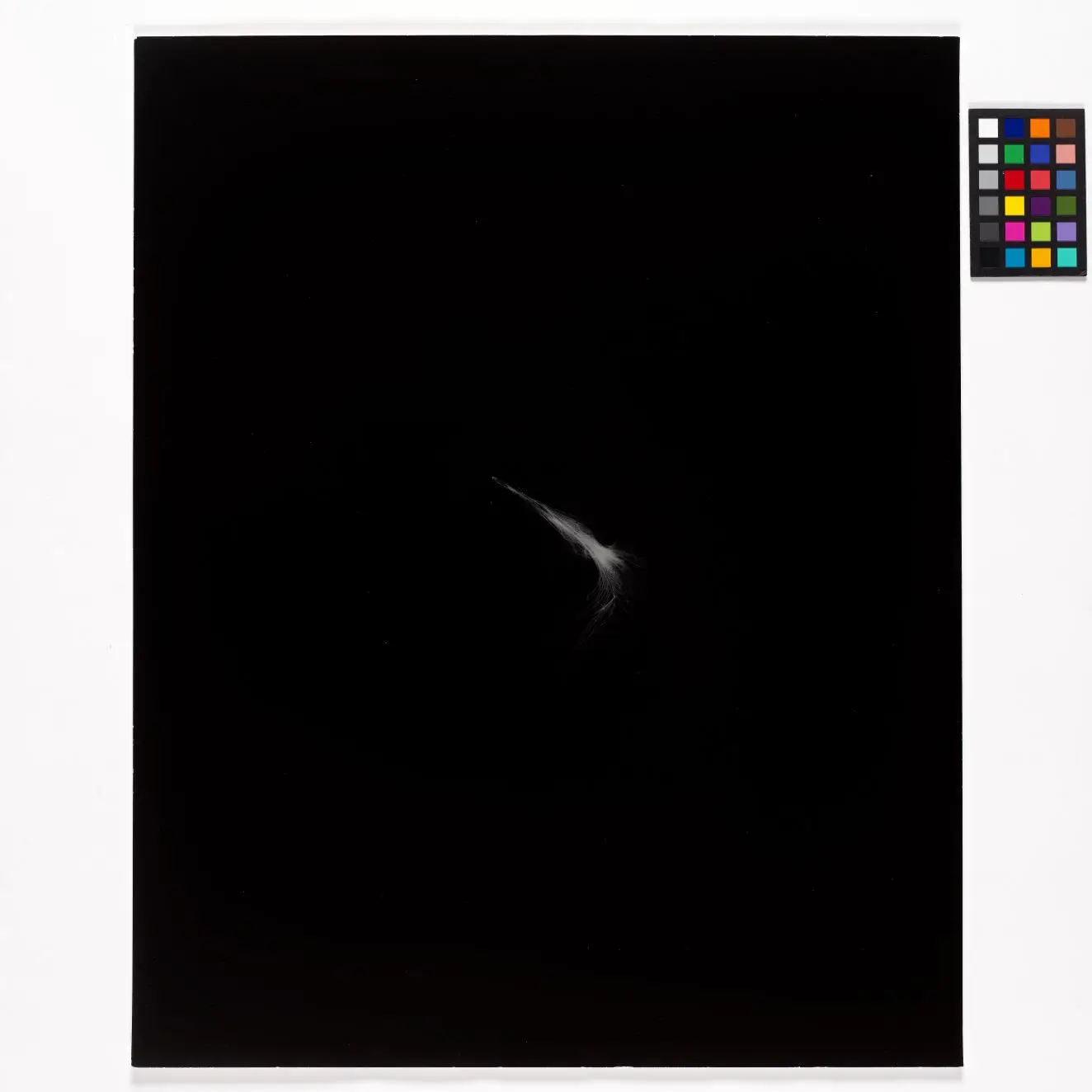 Feather from Freud's Pillow by Cornelia Parker