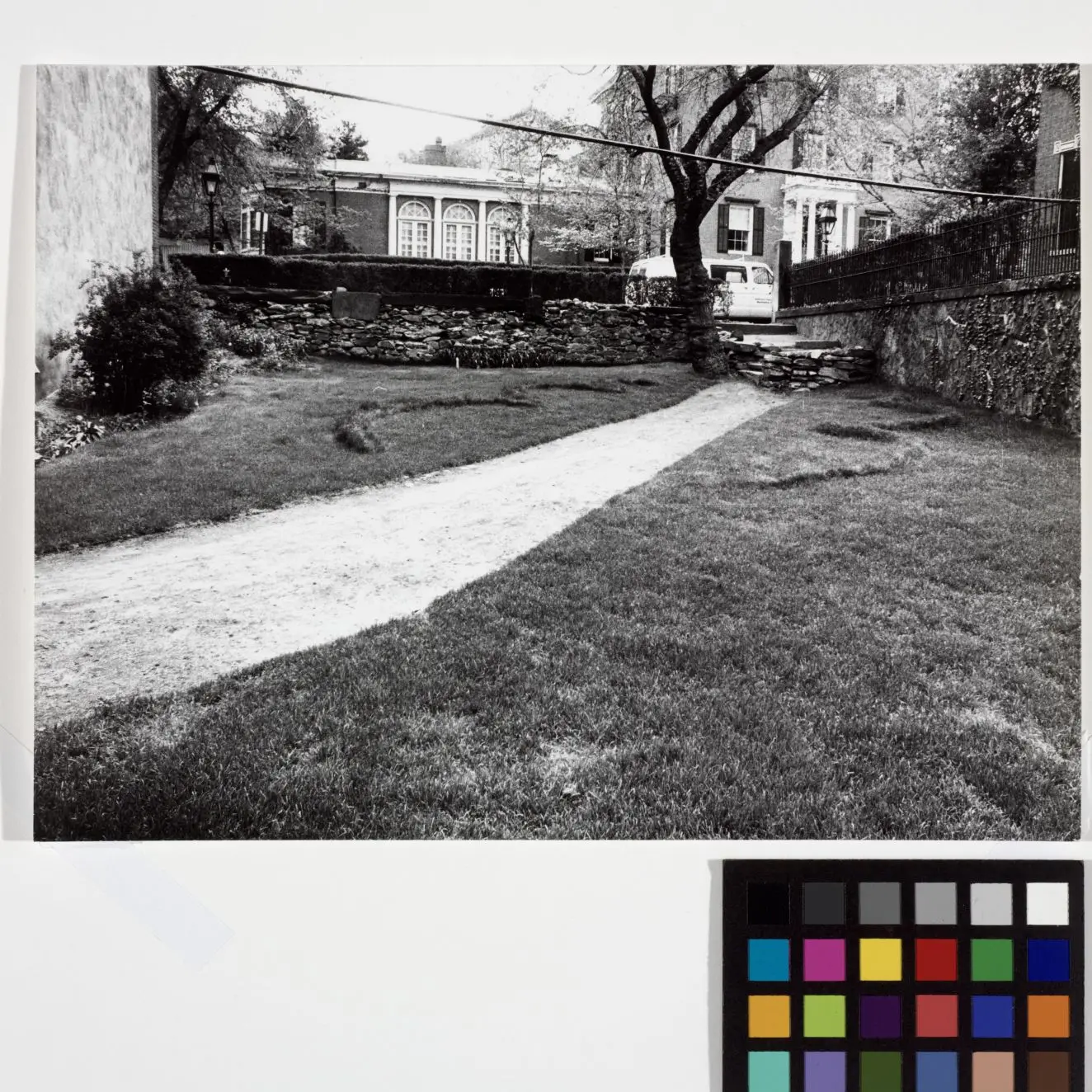 Furrows by Ana Mendieta