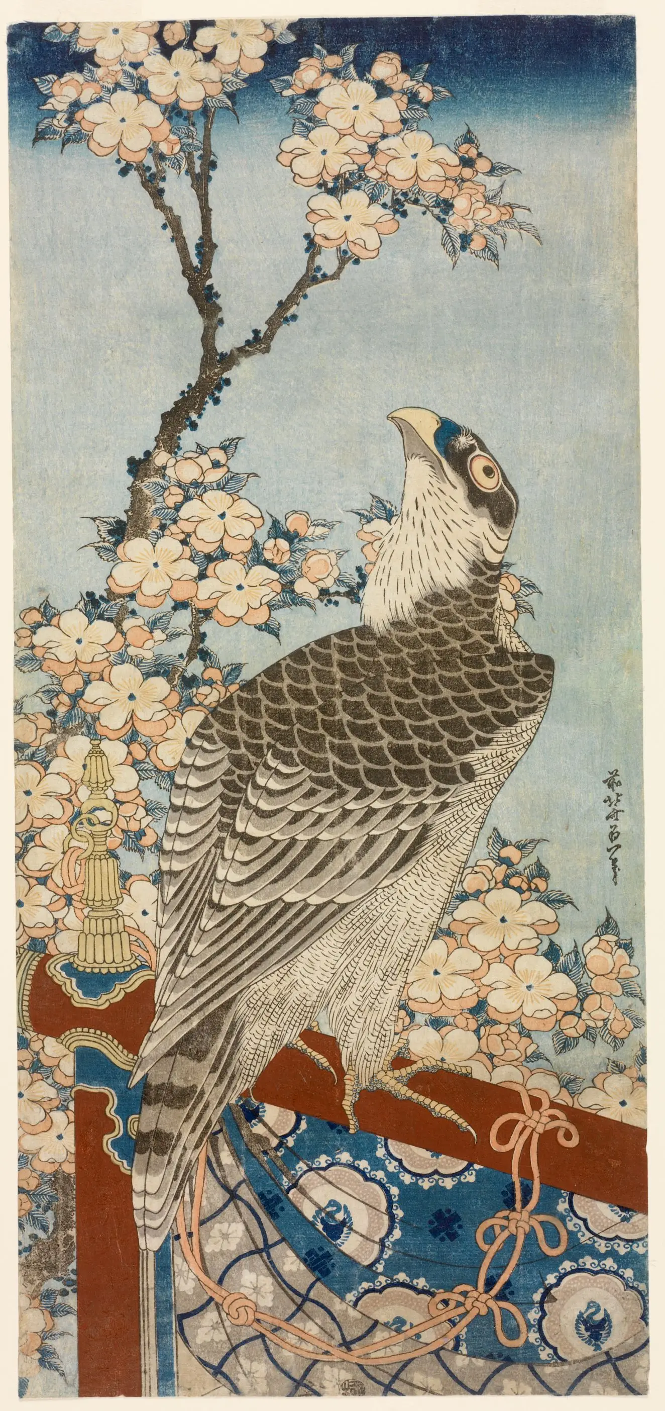 Hawk and Cherry Blossoms by Katsushika Hokusai 葛飾北斎