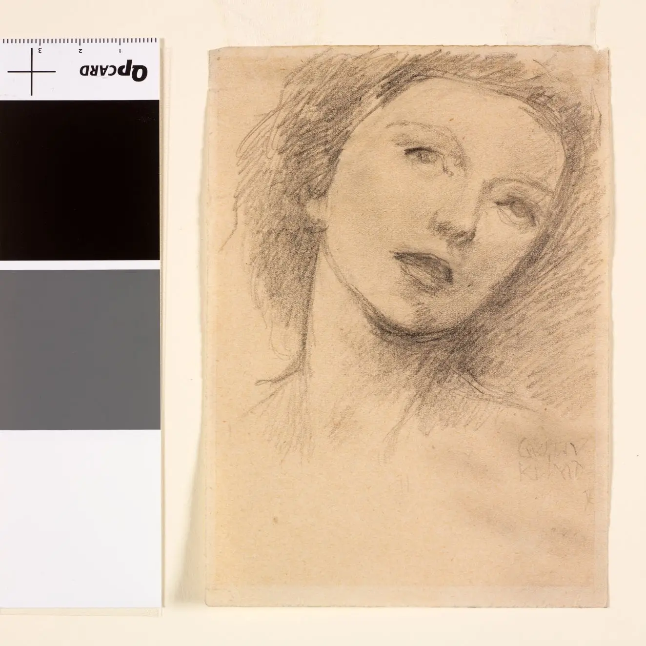 Head of a Woman by Gustav Klimt