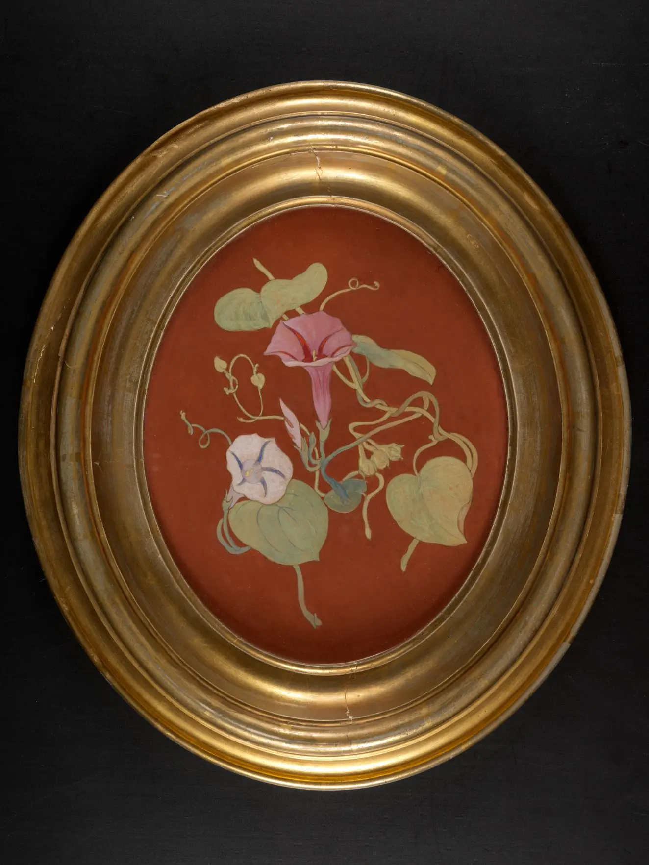 Morning Glories by Charles Demuth (