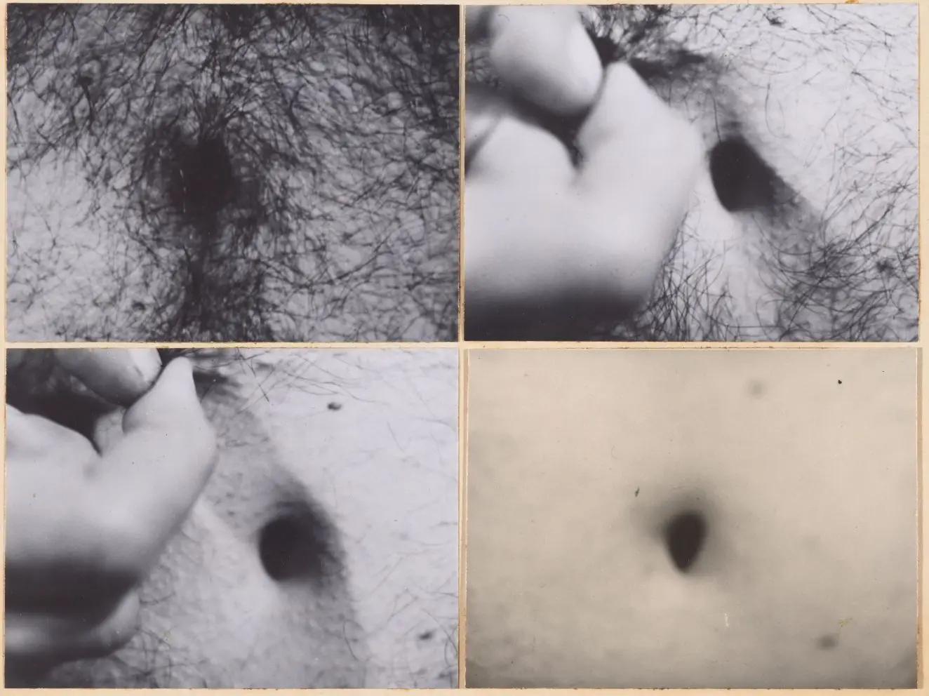 Openings by Vito Acconci