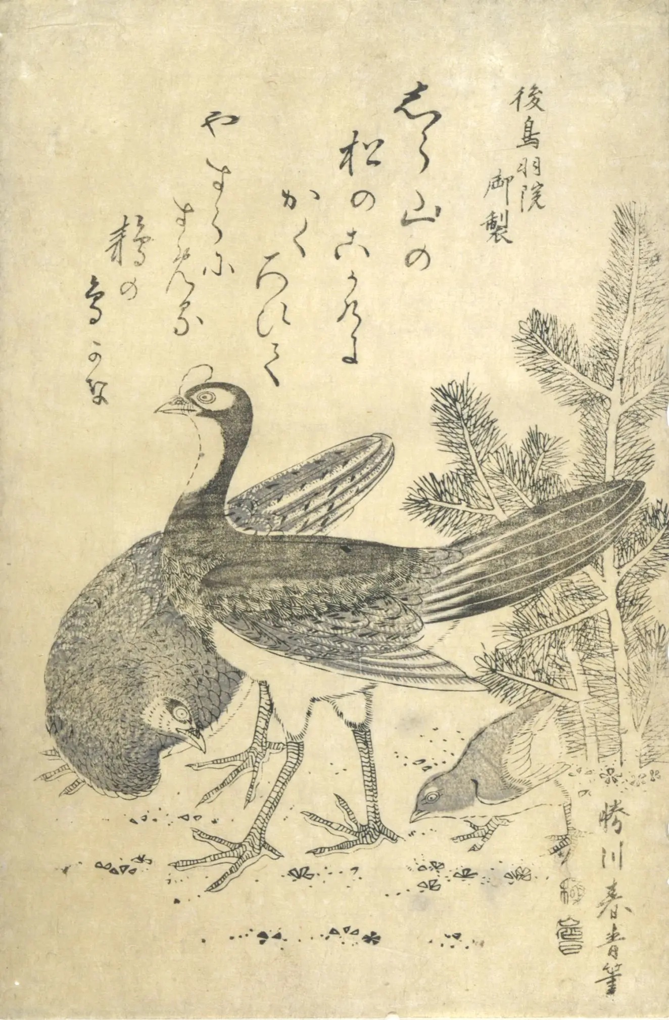 Rock ptarmigans and pine (Matsu ni raicho) by Yosa Buson