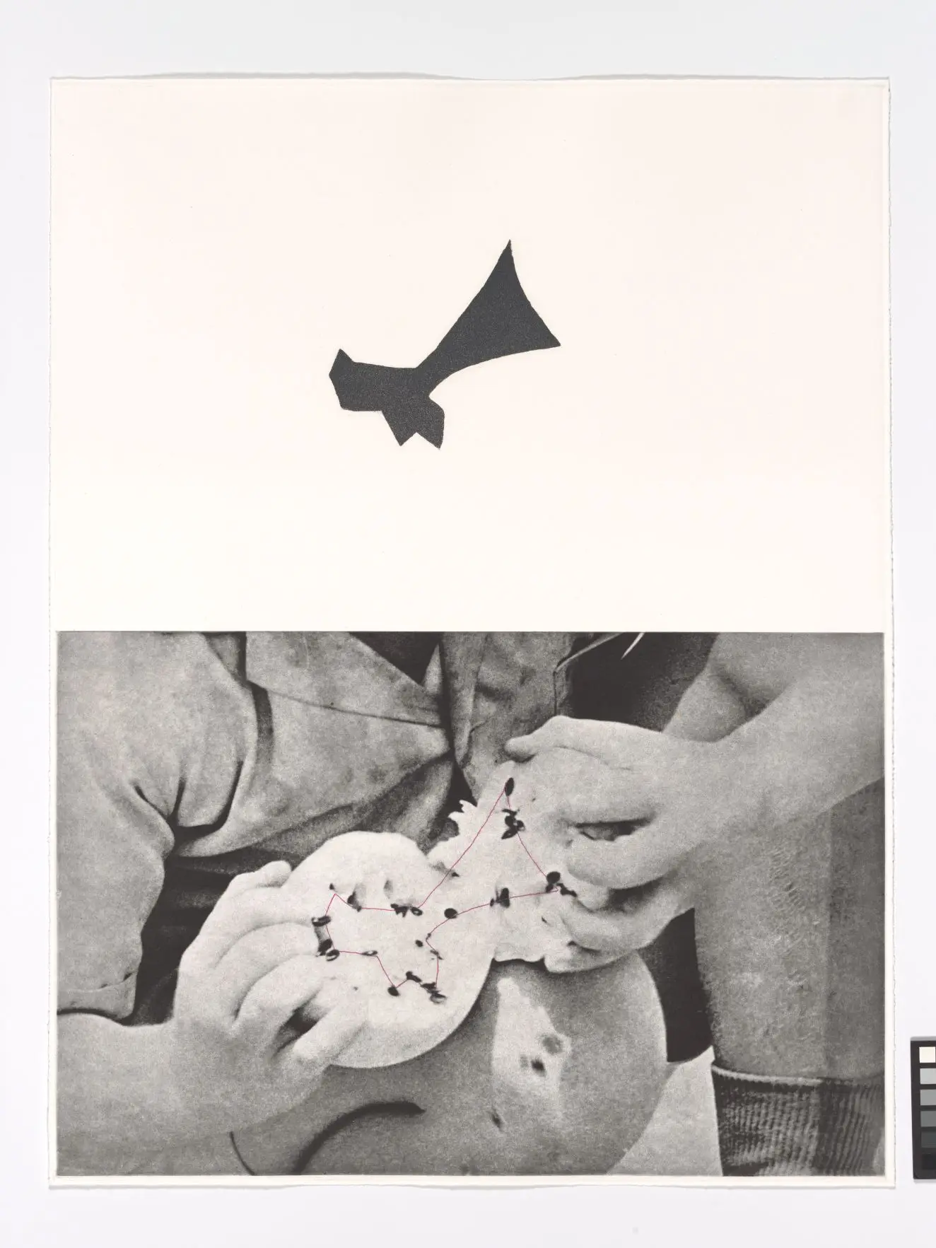 Seeds by John Baldessari