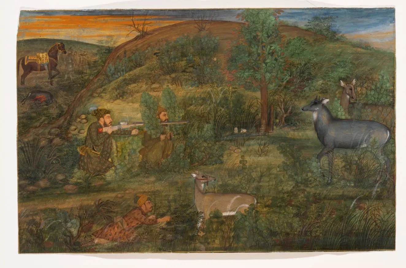 Shah Shuja Hunting Nilgai by Payag