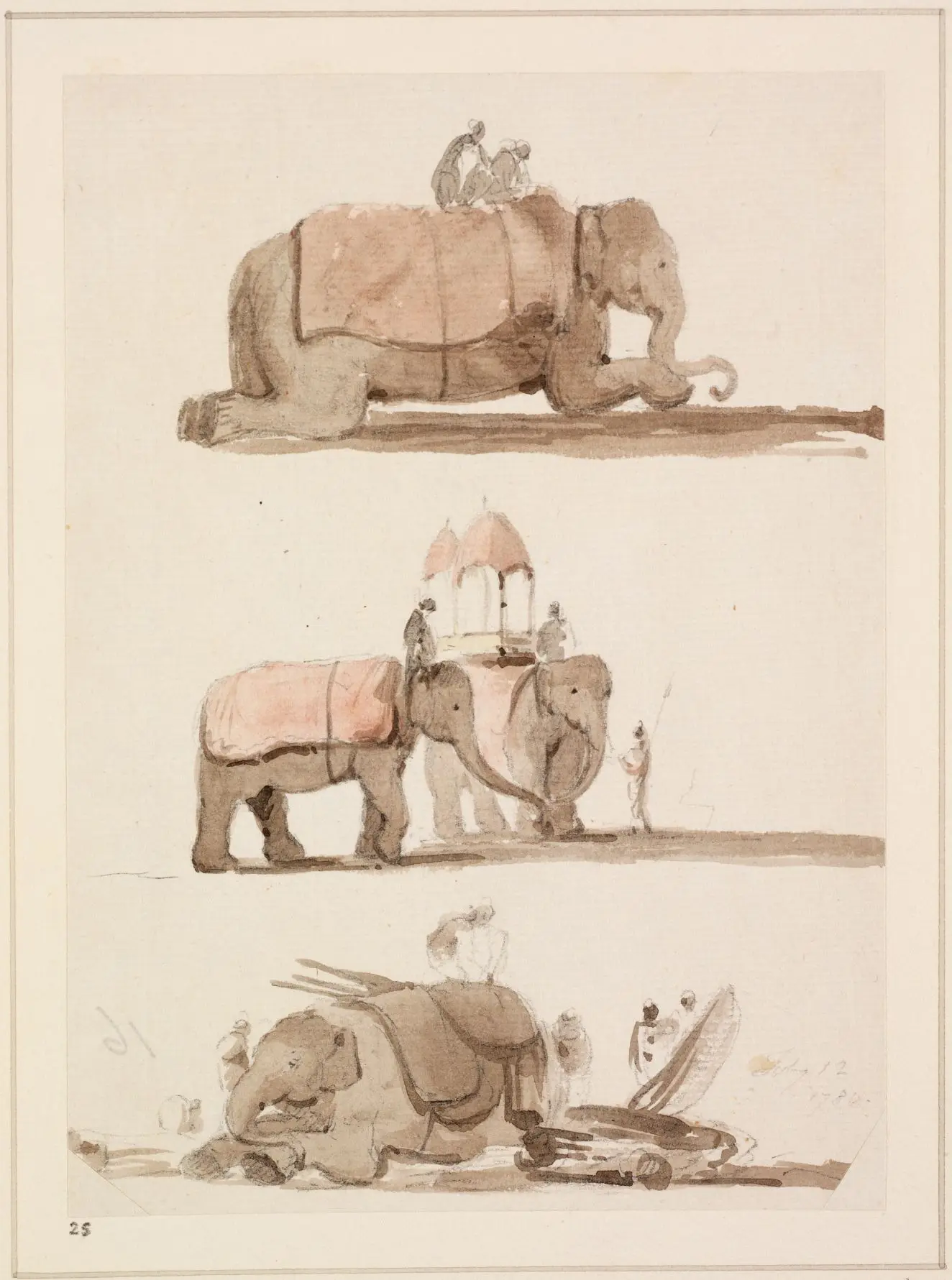 Sketches of Elephants by Thomas Daniell