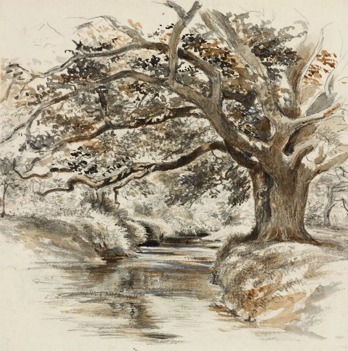 The Stream in the Queen's Bower Wood by Walter Crane