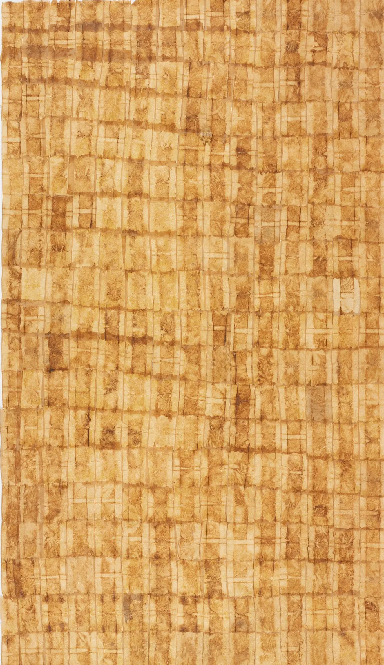 Study for Poetic Justice by Tania Bruguera