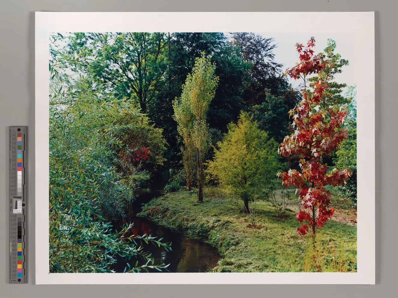 Untitled by Stephen Shore by Stephen Shore