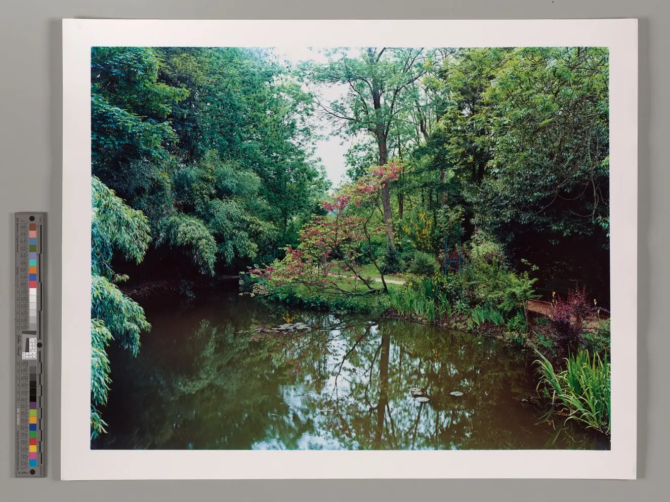 Untitled by Stephen Shore by Stephen Shore