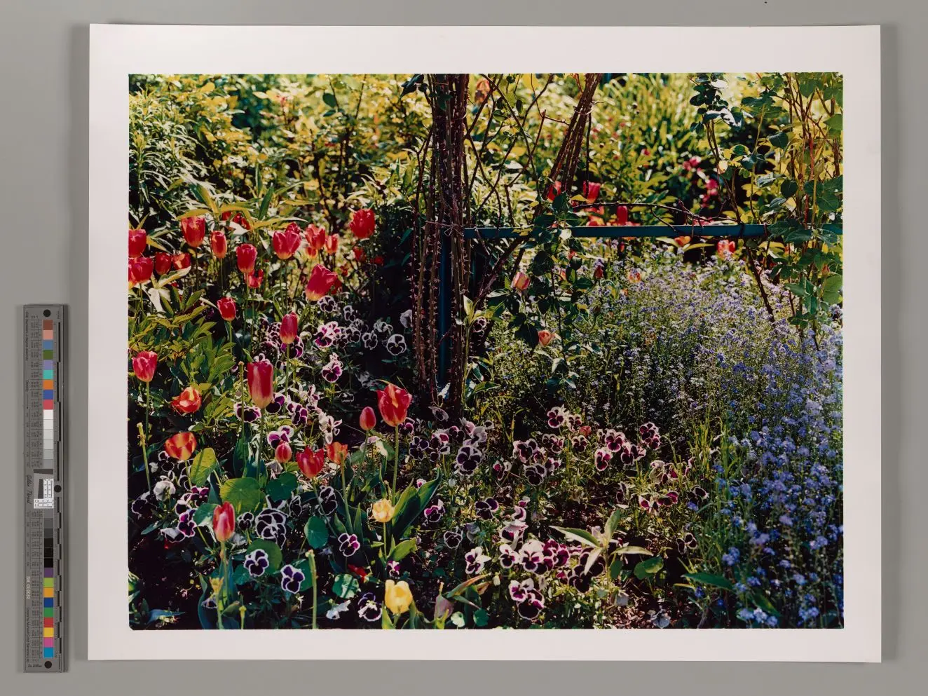 Untitled by Stephen Shore by Stephen Shore