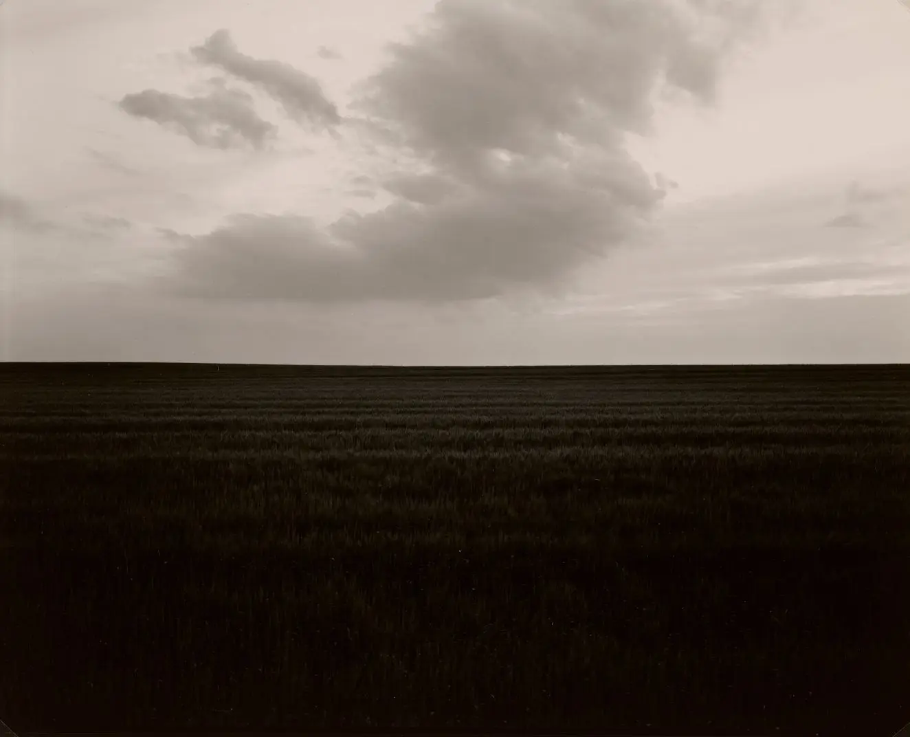 Untitled (951) by Rhondal McKinney