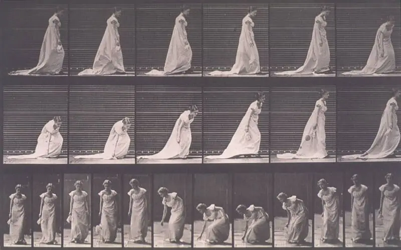 Animal Locomotion by Eadweard Muybridge