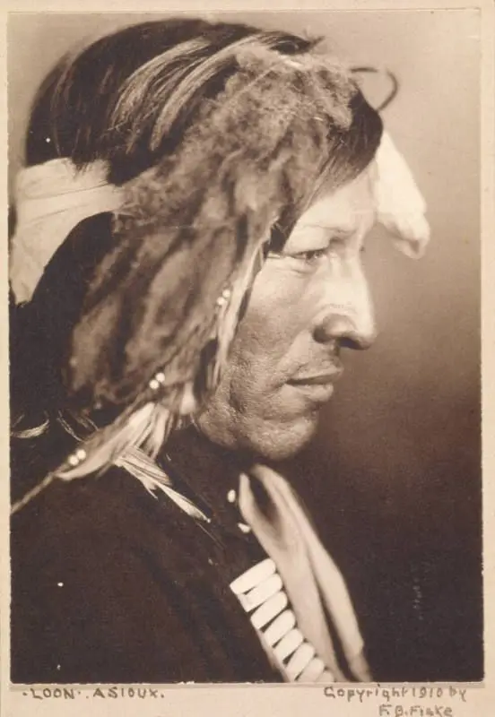 Loon: Sioux by Frank Bennett Fiske