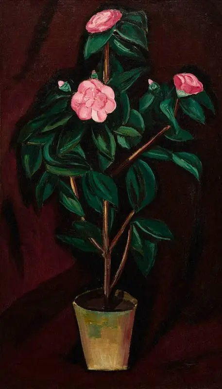 Camellias (also Camellias #2) by Marsden Hartley