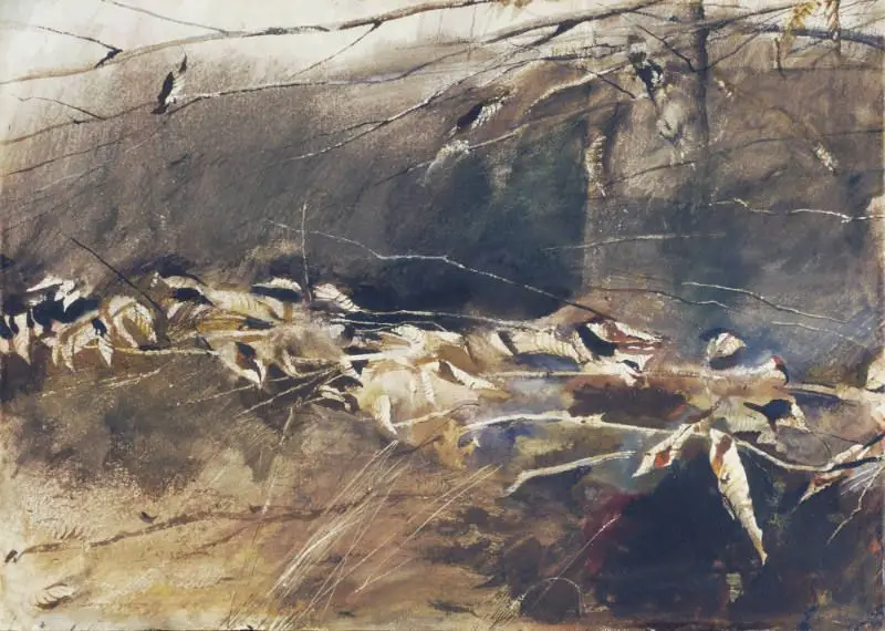 Low Limb by Andrew Wyeth