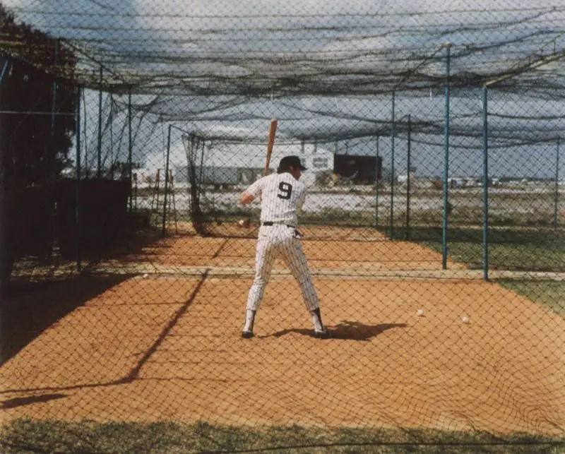 Craig Nettles, Ft. Lauderdale Yankee Stadium, Ft. Lauderdale, Florida by Stephen Shore